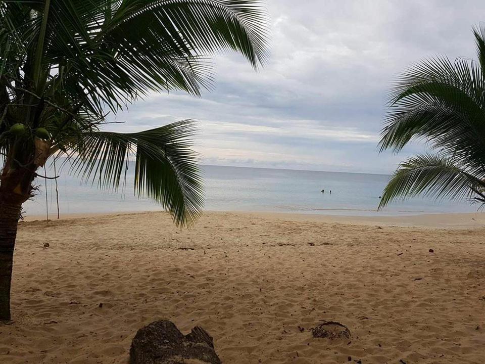Cabinas Hukats Secret Jungle Puerto Viejo de Talamanca Экстерьер фото